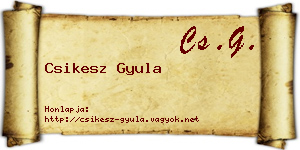 Csikesz Gyula névjegykártya